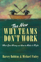 The_new_why_teams_don_t_work